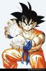 Gohan